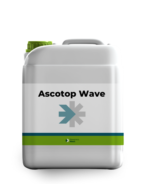 Ascotop Wave 5 L