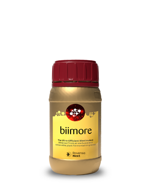 Biimore 1 L