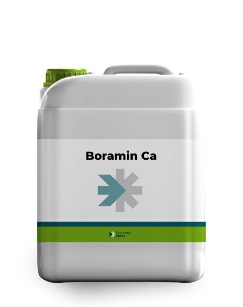 Boramin Ca 5 L