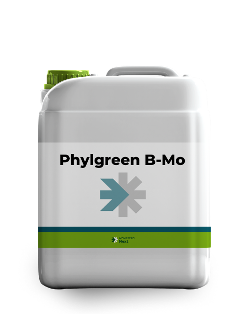 Phylgreen B-Mo 5 L