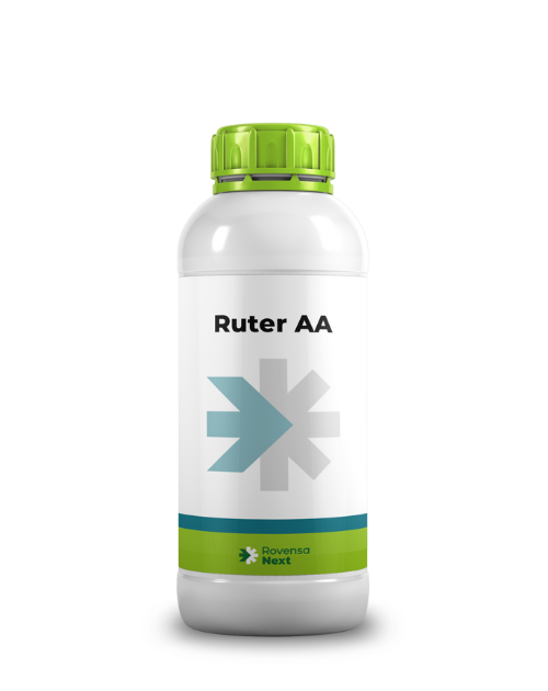 Ruter AA 1 L