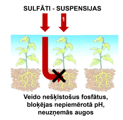 3. att. Sāļu formas mikroelementu uzsūkšanos caur saknēm bieži ierobežo augsnes īpašības. 