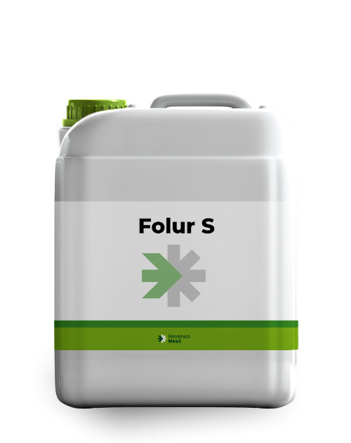 Folur S 5 L