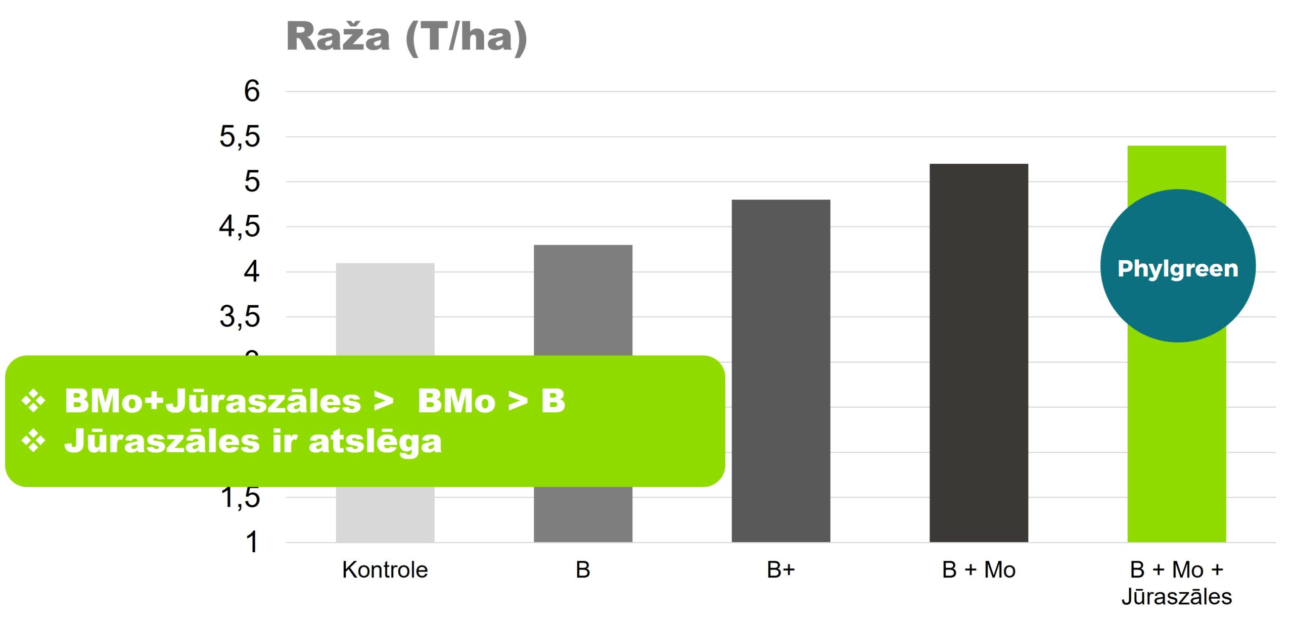 Att.4. Bora smidzinājumu efektivitātes evolūcija, piemeklējot optimālu bora devu un pievienojot molibdēnu un jūraszāļu ekstraktu.